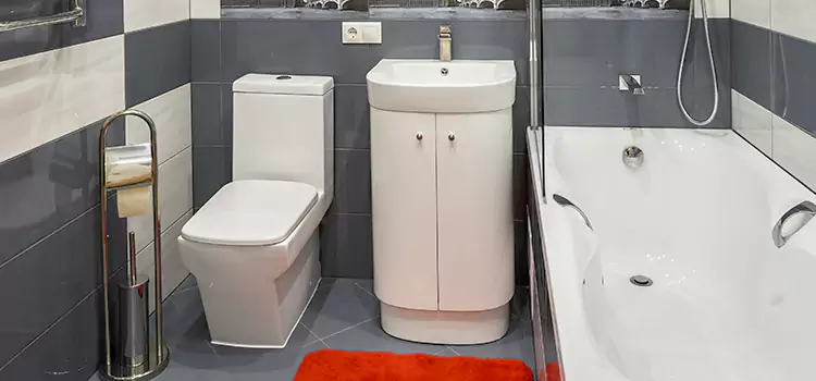Hansgrohe Shaving Mirror Great Falls